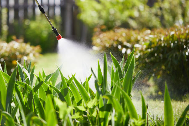 24/7 Emergency Cockroach Control experts in Alexandria, MN
